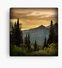 Looking Down from Timpanookie Road Canvas Print