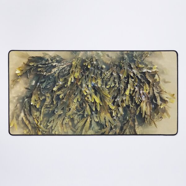 Item preview, Seaweed designed and sold by Murph's Images.
