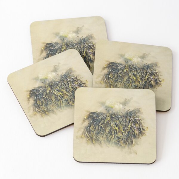 Item preview, Seaweed designed and sold by Murph's Images.