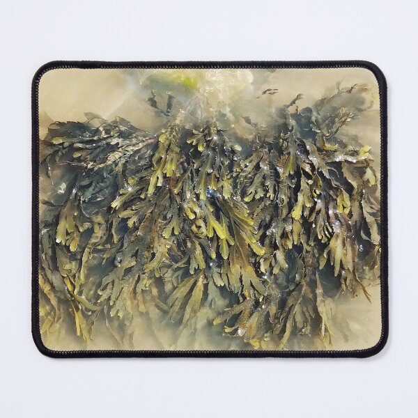 Item preview, Seaweed designed and sold by Murph's Images.