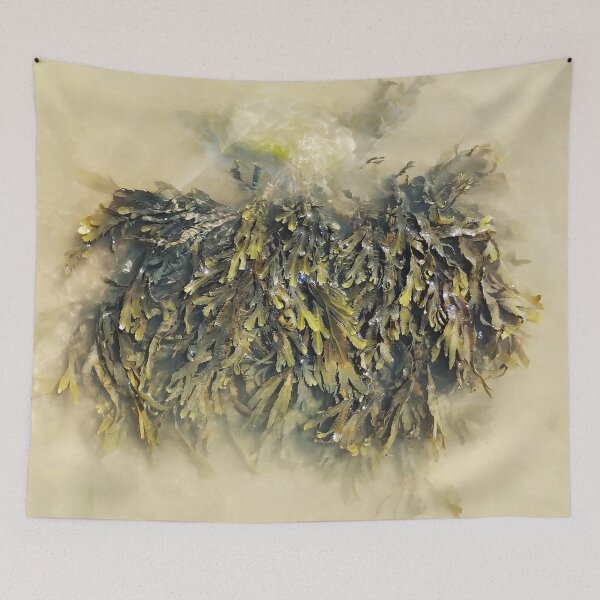 Item preview, Seaweed designed and sold by Murph's Images.