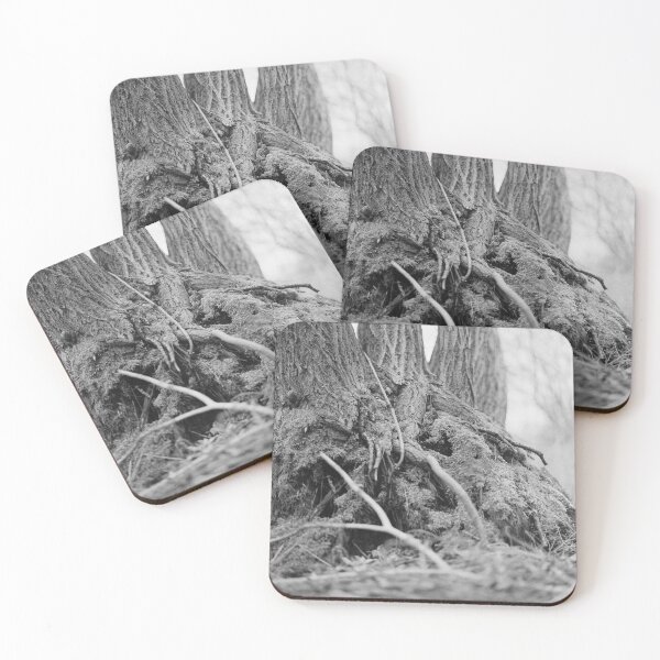 Item preview, network designed and sold by 5letters.