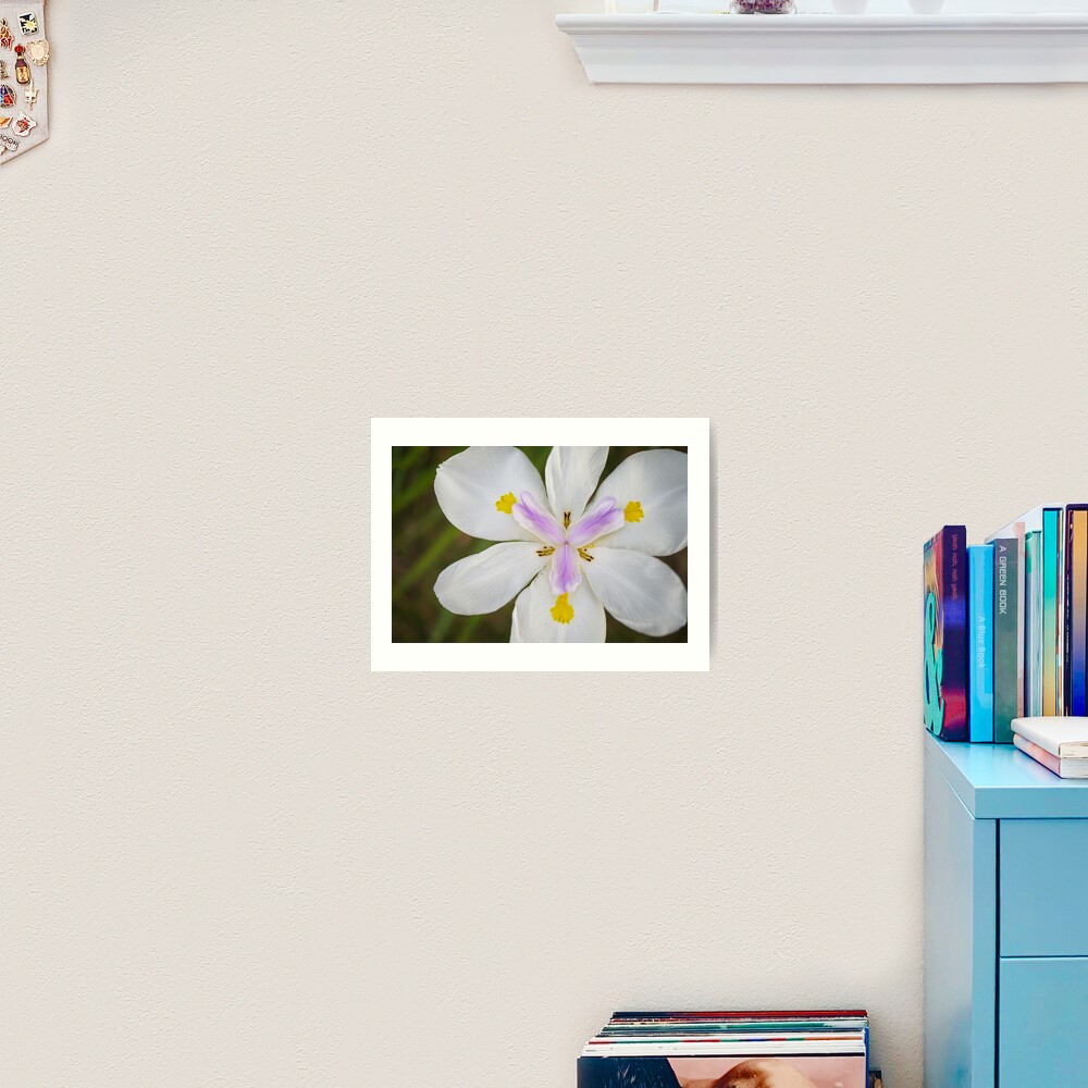 Item preview, Art Print designed and sold by CM-PD.