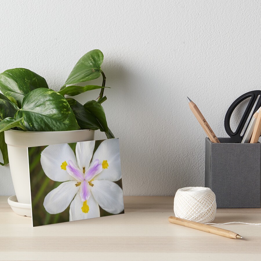 Item preview, Art Board Print designed and sold by CM-PD.