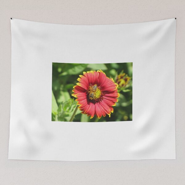 Item preview, Bee on Red Zinnia Flower Collecting Nectar in Bright Garden Morning designed and sold by Nmallia.
