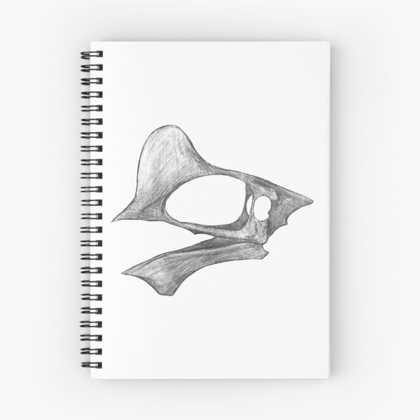 Item preview, Tapejara wellnhoferi skull designed and sold by DoodleSnake58.