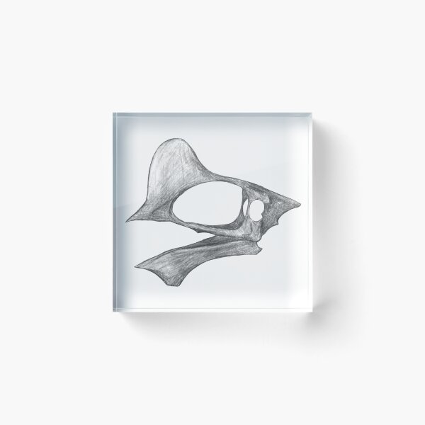 Item preview, Tapejara wellnhoferi skull designed and sold by DoodleSnake58.