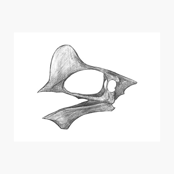 Item preview, Tapejara wellnhoferi skull designed and sold by DoodleSnake58.