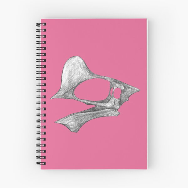 Item preview, Tapejara wellnhoferi skull designed and sold by DoodleSnake58.