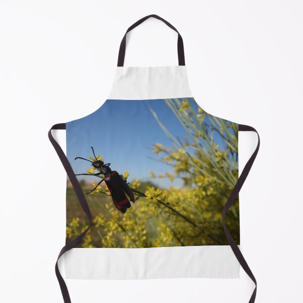 Item preview, Lampromeloe pantherinus designed and sold by faridman.