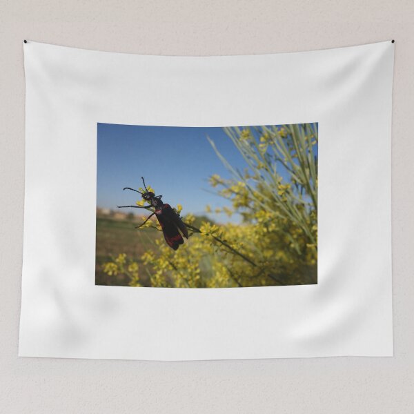 Item preview, Lampromeloe pantherinus designed and sold by faridman.