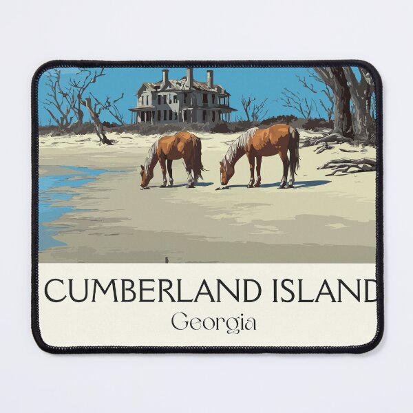 Item preview, Cumberland Island Georgia National Seashore Art Print designed and sold by TuncGK.