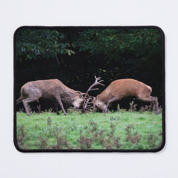 Item preview, The Clash of Antlers designed and sold by RedGrouse.