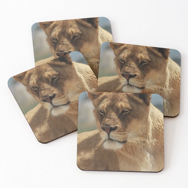 Item preview, Close-Up Lioness Resting Calmly: Strong, Regal, and Protective in Warm Natural Light designed and sold by Nmallia.