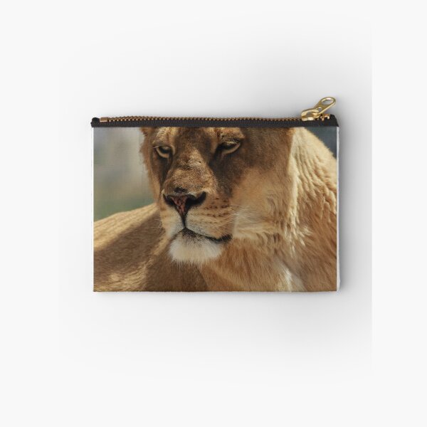 Item preview, Close-Up Lioness Resting Calmly: Strong, Regal, and Protective in Warm Natural Light designed and sold by Nmallia.