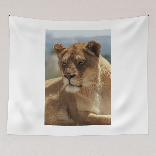 Item preview, Close-Up Lioness Resting Calmly: Strong, Regal, and Protective in Warm Natural Light designed and sold by Nmallia.