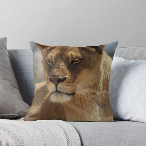 Item preview, Close-Up Lioness Resting Calmly: Strong, Regal, and Protective in Warm Natural Light designed and sold by Nmallia.
