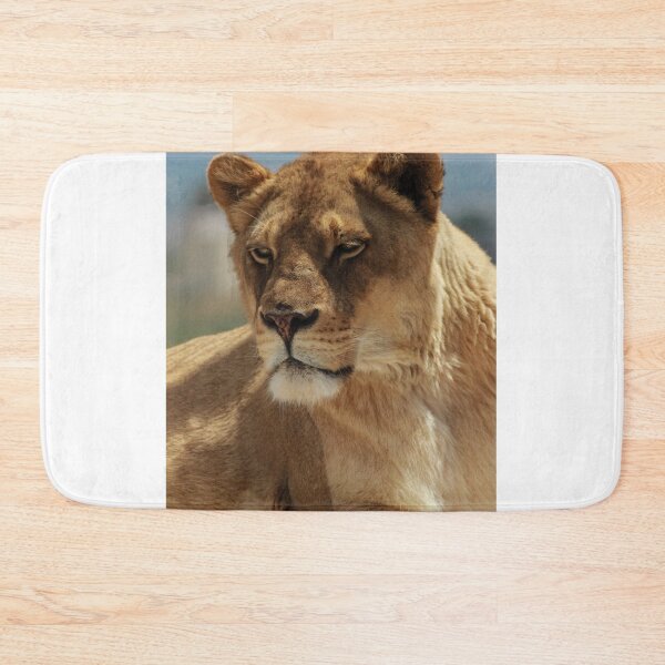 Item preview, Close-Up Lioness Resting Calmly: Strong, Regal, and Protective in Warm Natural Light designed and sold by Nmallia.
