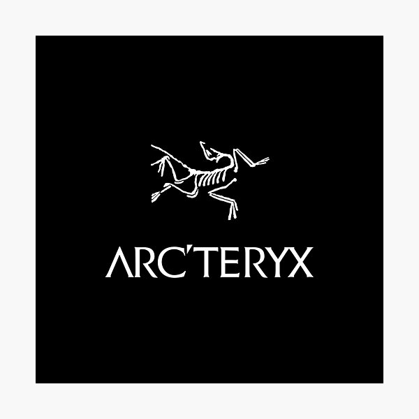 Item preview, The White Archaeopteryx Fossil designed and sold by Orinoriant.