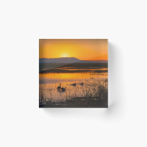 Item preview, Sunset At The Wetlands designed and sold by AMBPIXELS.