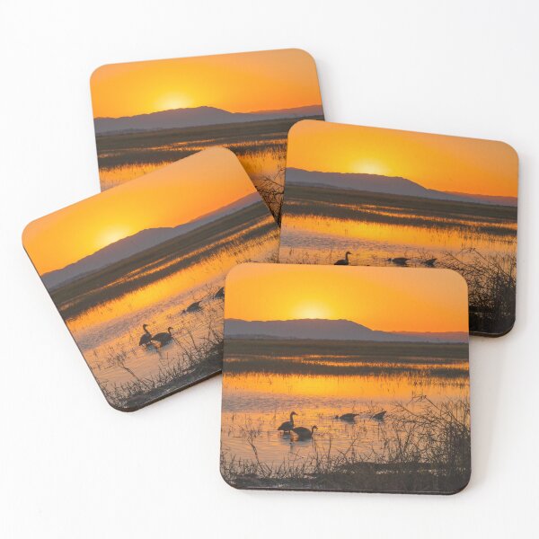 Item preview, Sunset At The Wetlands designed and sold by AMBPIXELS.