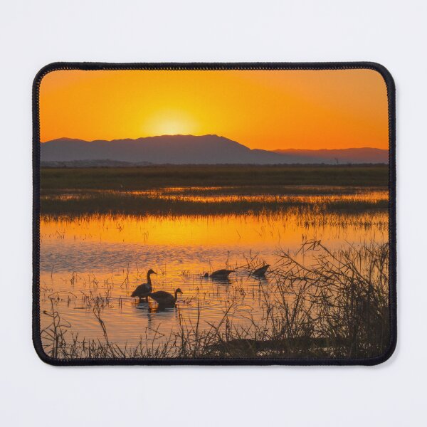 Item preview, Sunset At The Wetlands designed and sold by AMBPIXELS.