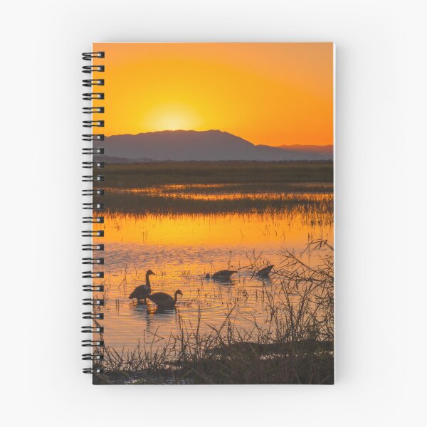 Item preview, Sunset At The Wetlands designed and sold by AMBPIXELS.
