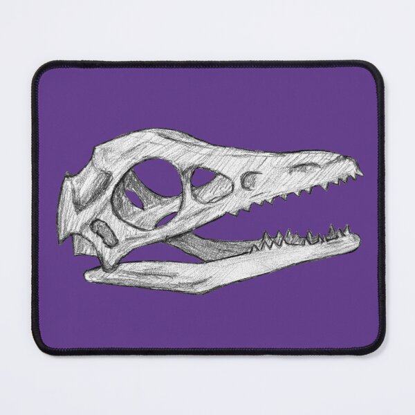 Item preview, Archaeopteryx skull designed and sold by DoodleSnake58.