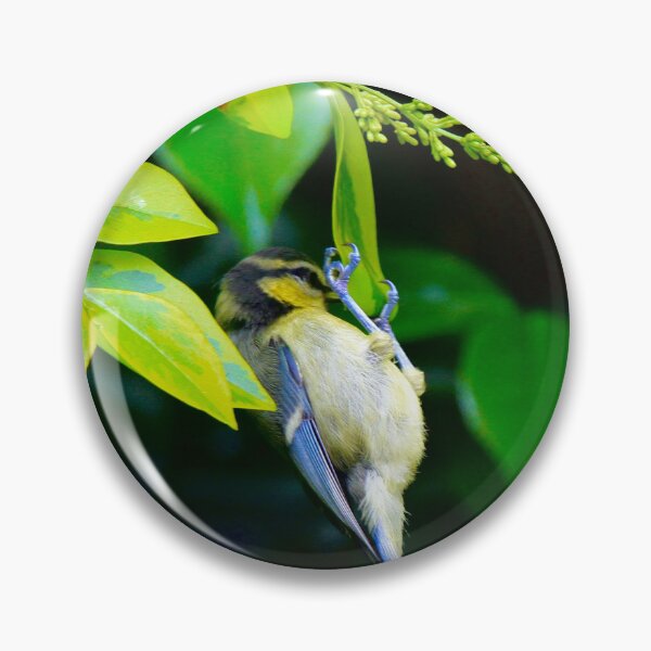 Item preview, Bird feeding  designed and sold by Ribster13.