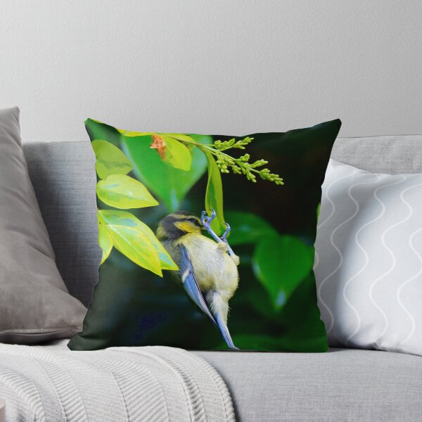 Item preview, Bird feeding  designed and sold by Ribster13.