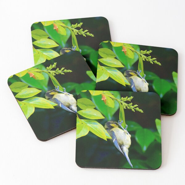 Item preview, Bird feeding  designed and sold by Ribster13.