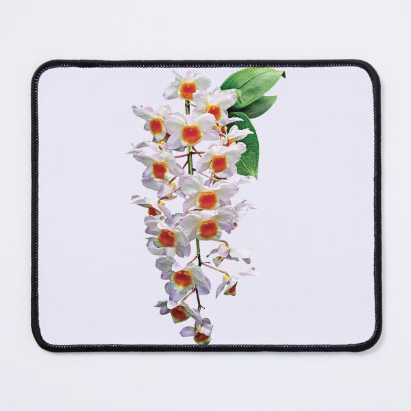 Item preview, Cascade of White Orchids designed and sold by Susan Savad.