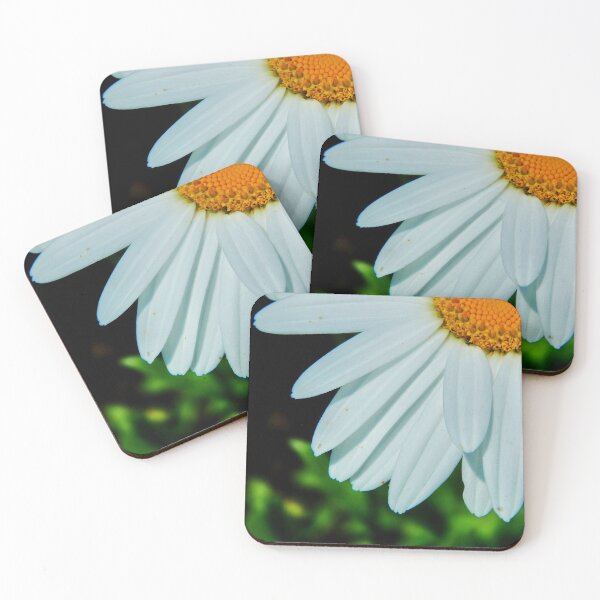 Item preview, Daisy close-up designed and sold by MLJM_Photography.