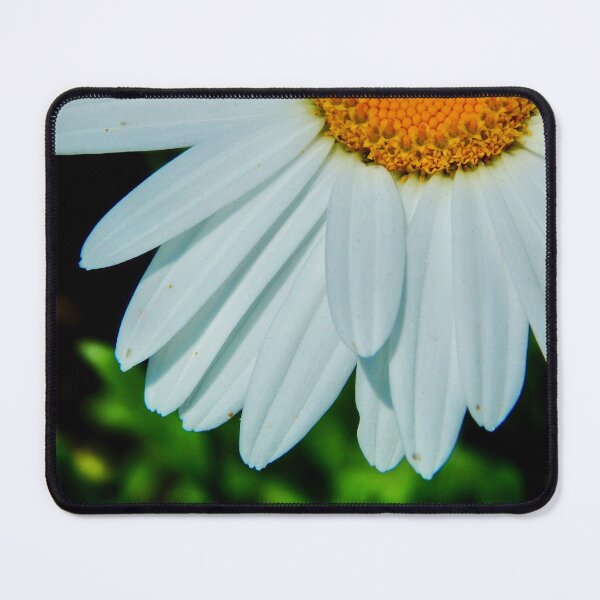 Item preview, Daisy close-up designed and sold by MLJM_Photography.