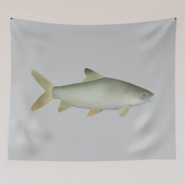 Item preview, Jerdon's Carp designed and sold by fishfolkart.