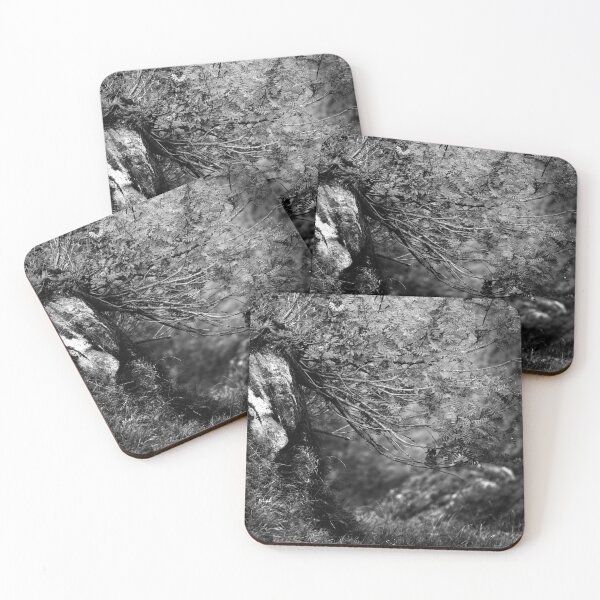 Item preview, Camouflage designed and sold by Schoenenwald - Illustrations Uniques et Originales.
