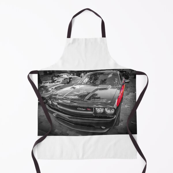 Item preview, 2013 Challenger RT X101 designed and sold by RichFrancoCars.