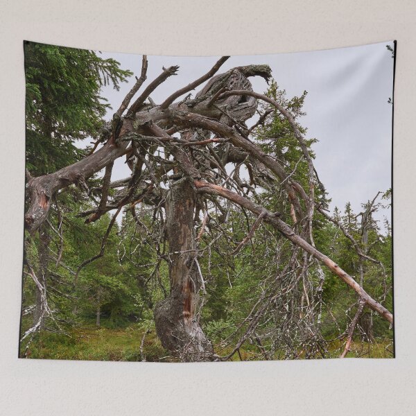 Item preview, Twist again. Konttainen 2025 designed and sold by Jouko Lehto Photography.