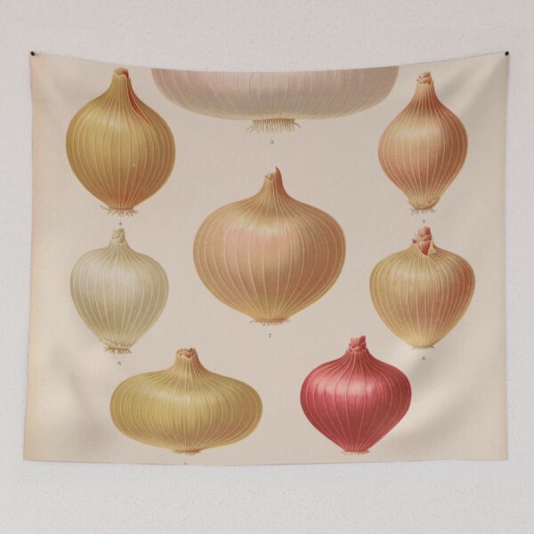 Item preview, Onion Chart designed and sold by BlueSpecsStudio.