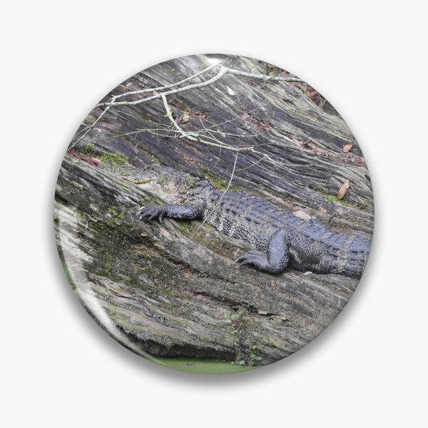 Item preview, Alligator Using Log Camoflauge In A Louisiana Swamp designed and sold by KillNFuel.