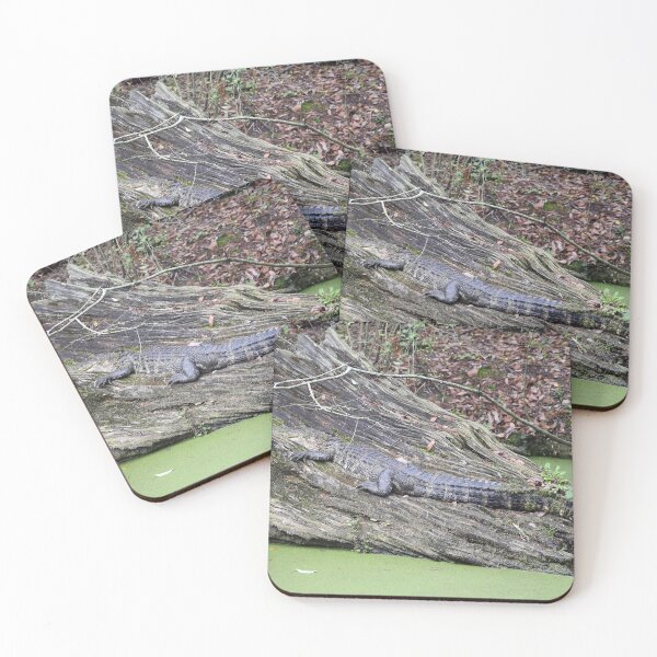 Item preview, Alligator Using Log Camoflauge In A Louisiana Swamp designed and sold by KillNFuel.