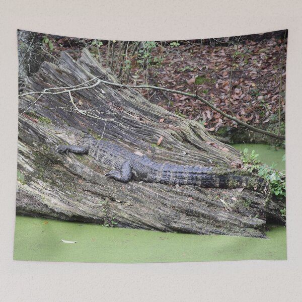 Item preview, Alligator Using Log Camoflauge In A Louisiana Swamp designed and sold by KillNFuel.