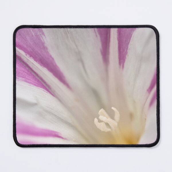 Item preview, Pacific False Bindweed Flower Close up designed and sold by jvnimages.