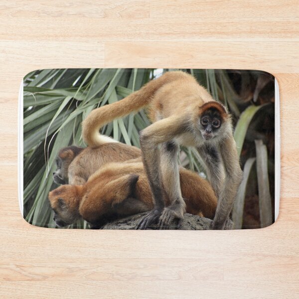 Item preview, Spider Monkey Poses For A Portrait Close Up designed and sold by KillNFuel.
