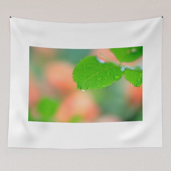 Item preview, Drops of rain in summer garden designed and sold by olena2552.
