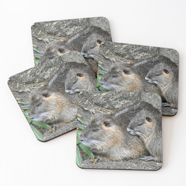 Item preview, Nutria Coypu Swamp Beavers Family Cuddled Together designed and sold by KillNFuel.