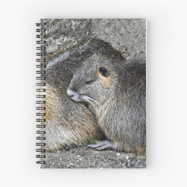 Item preview, Nutria Coypu Swamp Beavers Family Cuddled Together designed and sold by KillNFuel.