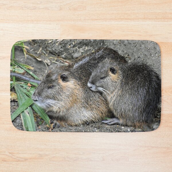 Item preview, Nutria Coypu Swamp Beavers Family Cuddled Together designed and sold by KillNFuel.