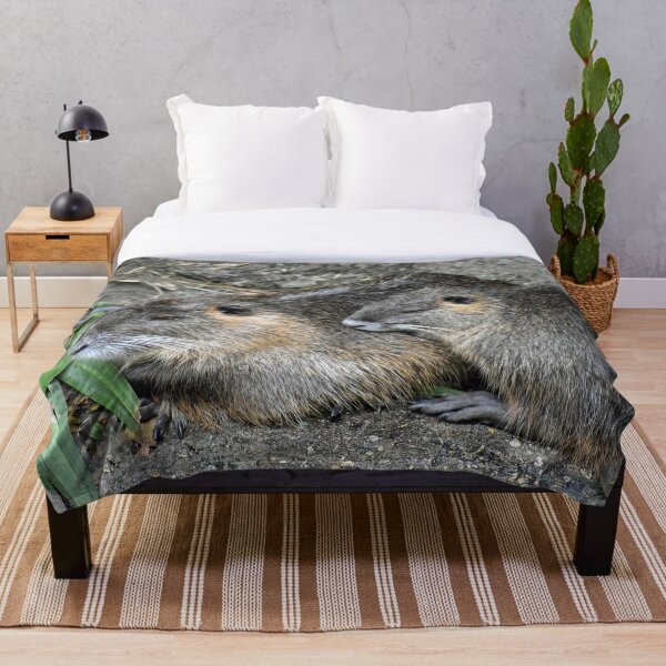 Item preview, Nutria Coypu Swamp Beavers Family Cuddled Together designed and sold by KillNFuel.