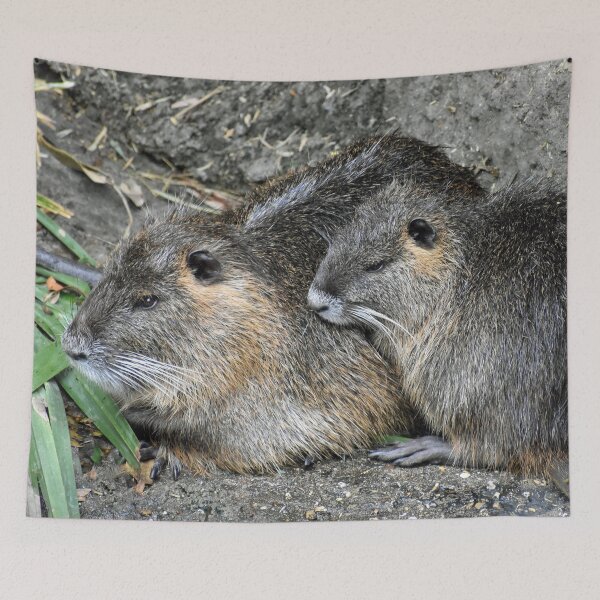 Item preview, Nutria Coypu Swamp Beavers Family Cuddled Together designed and sold by KillNFuel.